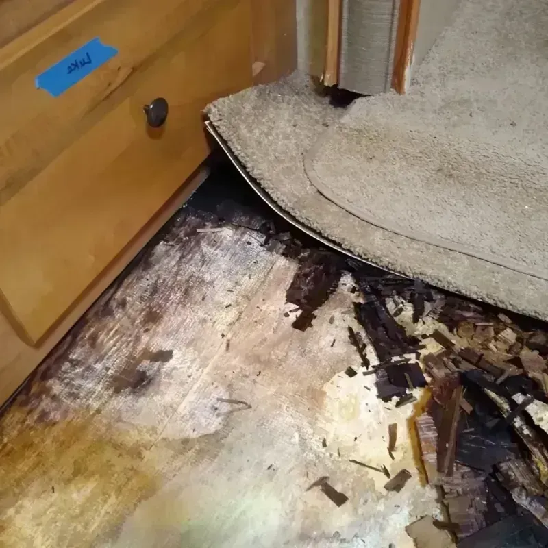 Wood Floor Water Damage in Roseville, MI